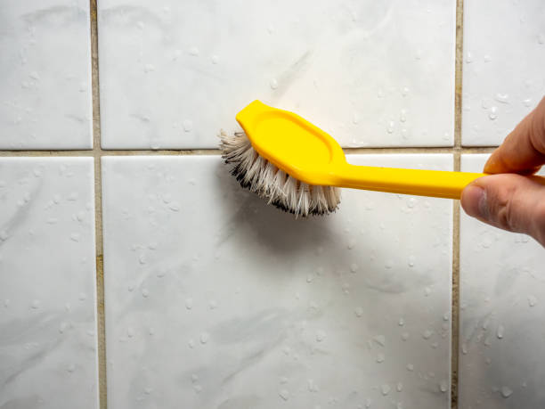 Best Fast Mold Removal  in Carolina Shores, NC
