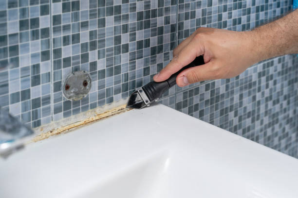 Mold Removal Process in Carolina Shores, NC